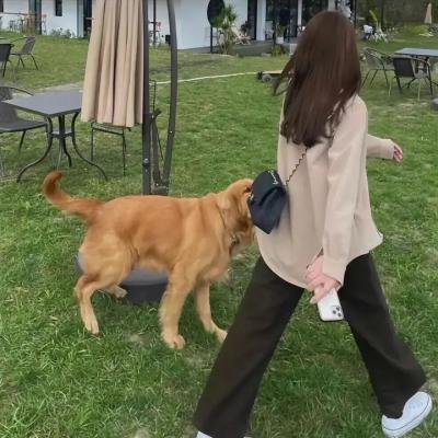 外交秘闻